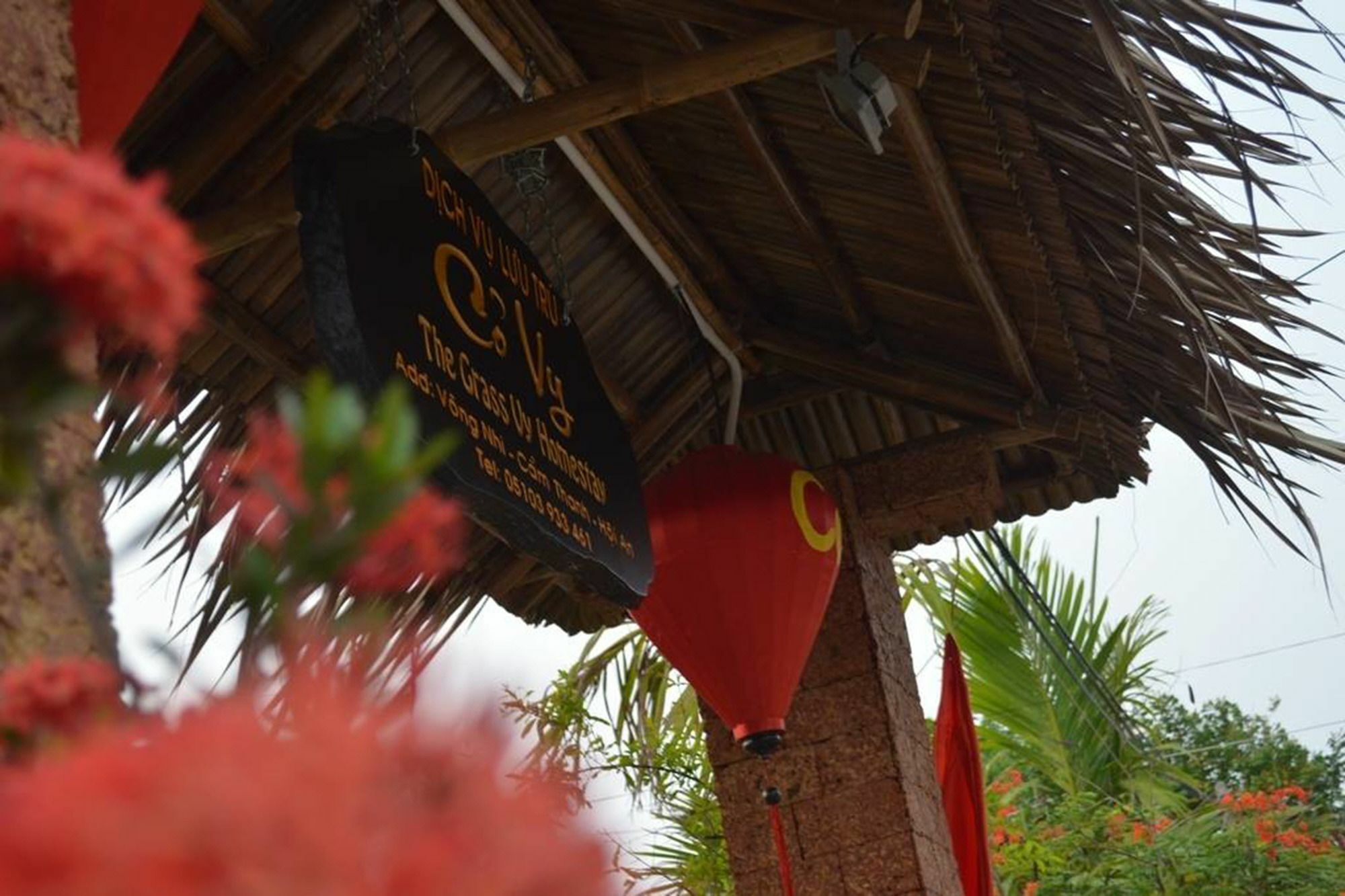 The Grass Vy Apartment Hội An Ngoại thất bức ảnh
