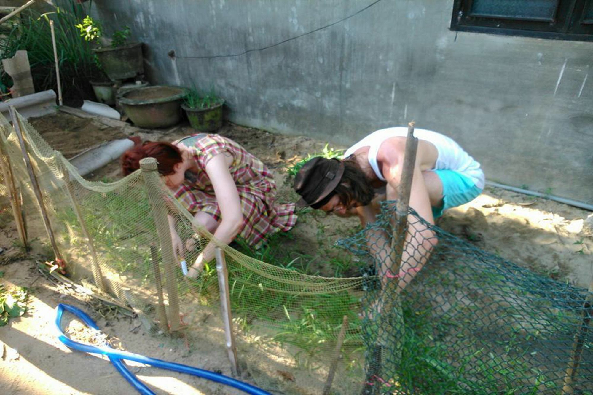 The Grass Vy Apartment Hội An Ngoại thất bức ảnh