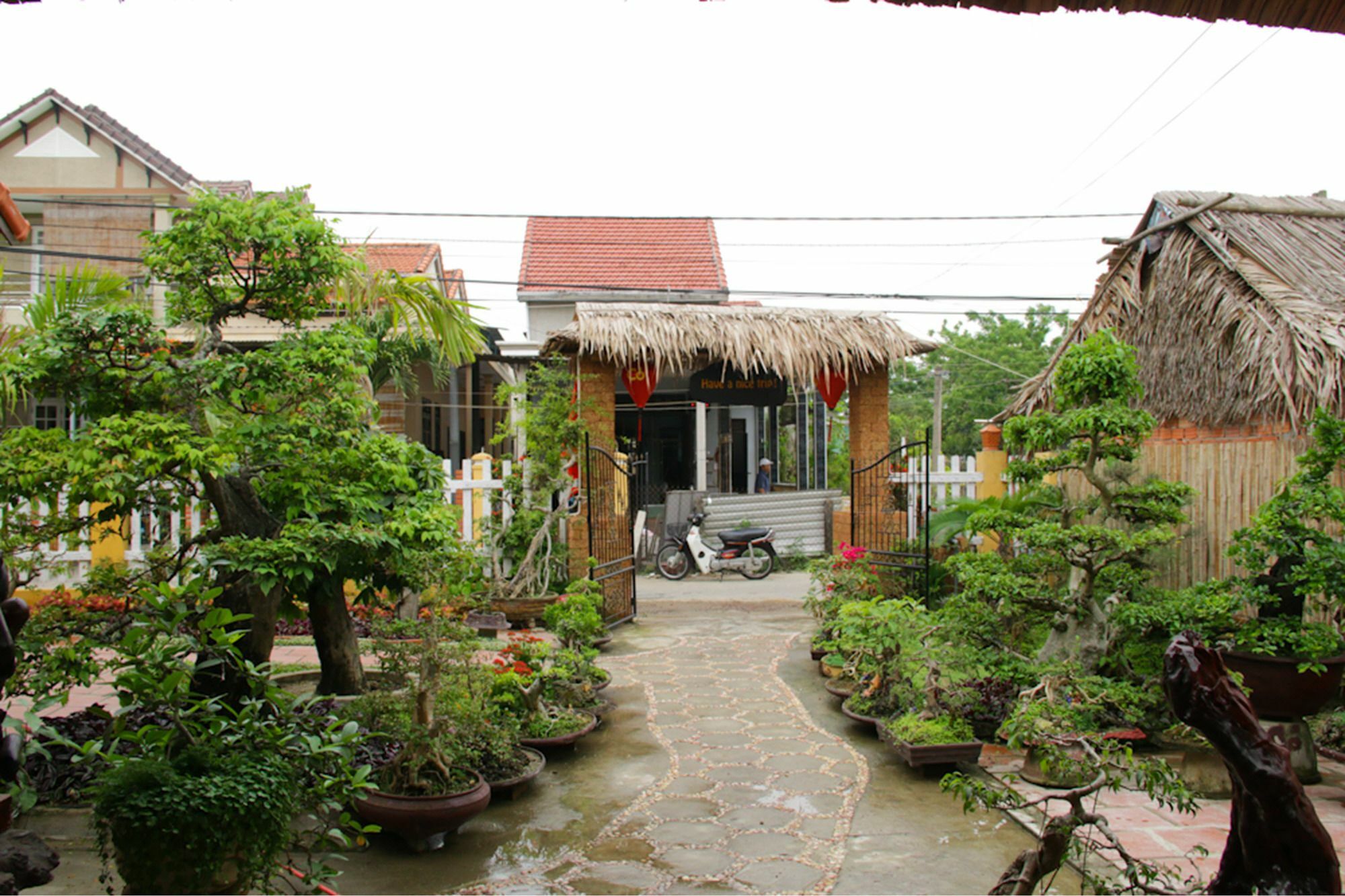 The Grass Vy Apartment Hội An Ngoại thất bức ảnh